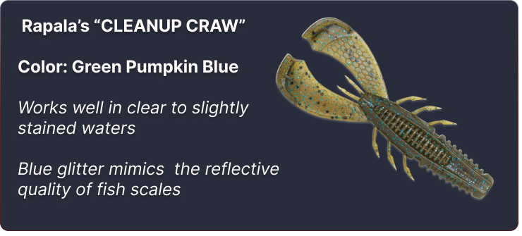 Green Pumpkin Blue color Rapala CrushCity Customs Cleanup Craw 